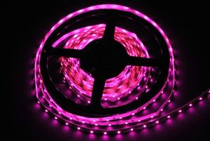 TAŚMA LED 3528 300 SMD WEWNĘTRZNA IP40 5m FIOLETOWY   GERLED